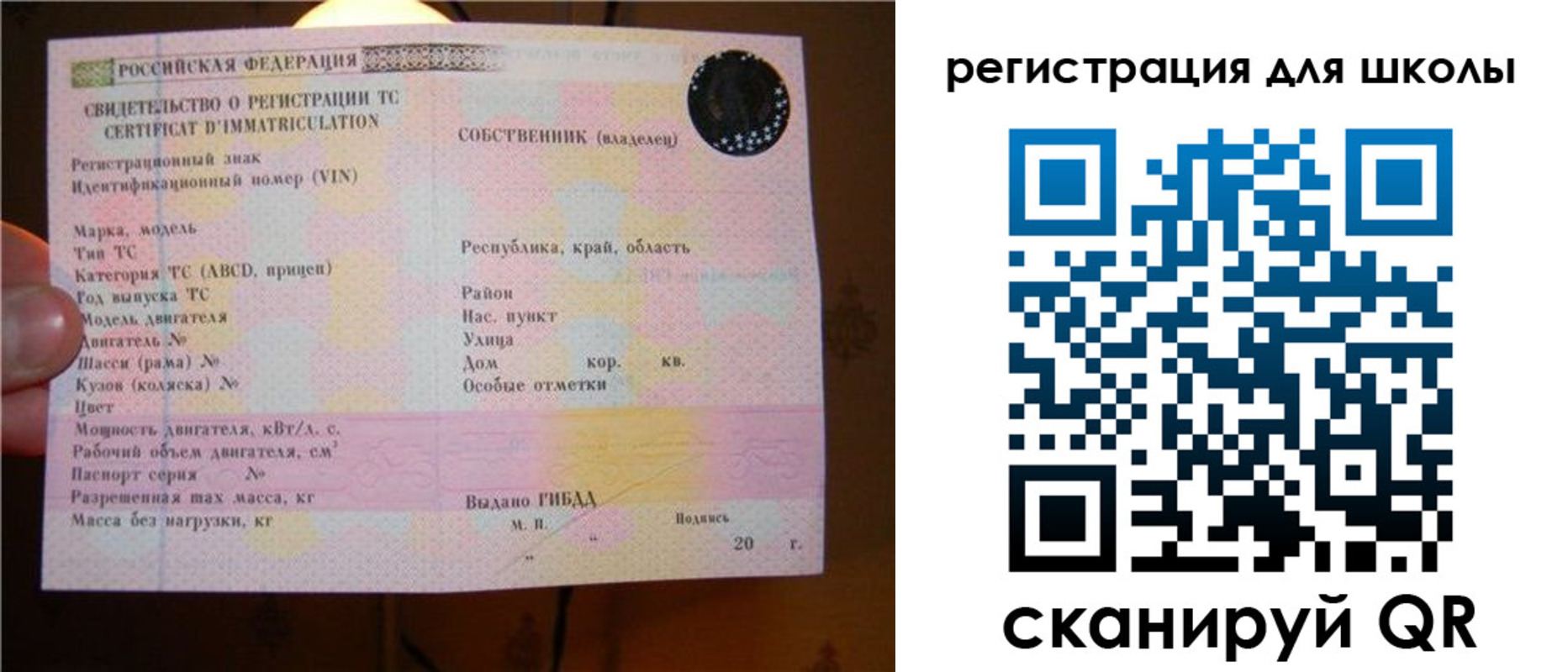 найти адрес прописки в Заинске